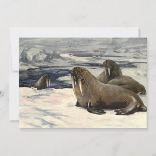 Vintage Walruses in the Arctic Snow by CE Swan Invitation