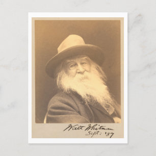 Vintage Walt Whitman Portrait Postcard