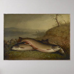 Vintage Walter Brackett Trout Poster