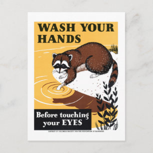 Vintage Wash Your Hands Racoon Poster Postcard