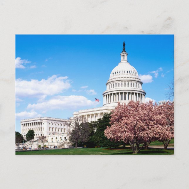 Vintage Washington DC Postcard (Front)