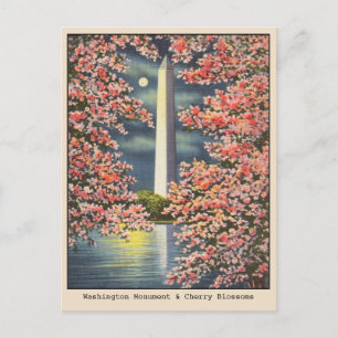 Vintage Washington Monument & Cherry Blossoms DC Postcard