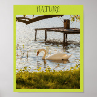 Vintage Watercolor Duck in Nature Canvas Art Poster
