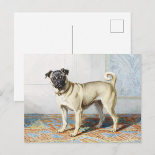 Vintage Watercolor Pug Dog Art Print Postcard