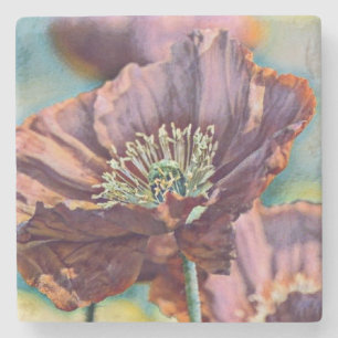Vintage Watercolor Red Purple Poppy Flowers Stone Coaster