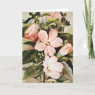 Vintage Watercolor Rose mallow Wildflowers  Holiday Card
