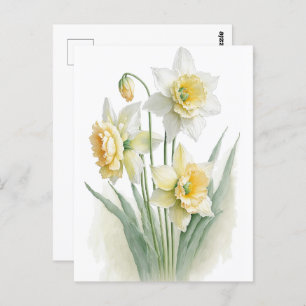 Vintage Watercolor White and Yellow Daffodils  Postcard