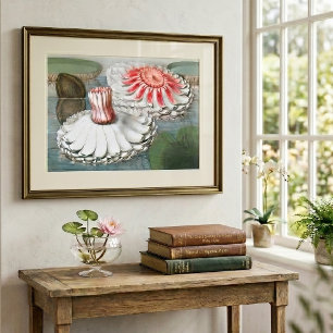 Vintage Waterlilies Flowers in a Pond Poster