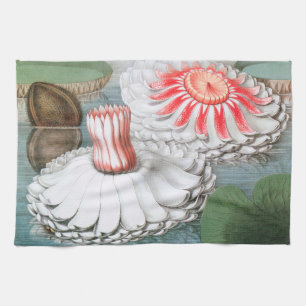 Vintage Waterlily Flowers, Waterlilies in a Pond Tea Towel