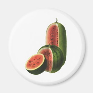 Vintage Watermelons Tall Round, Organic Food Fruit Magnet
