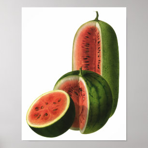 Vintage Watermelons Tall Round, Organic Food Fruit Poster