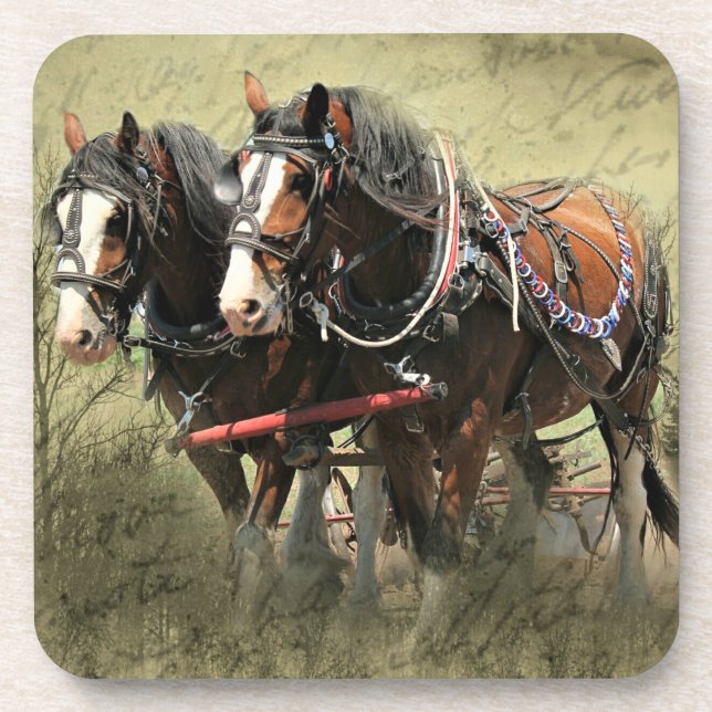Vintage Weathered Clydesdale Postcard Coaster (Front)