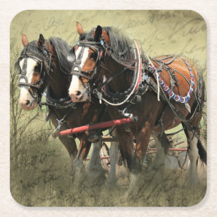 Vintage Weathered Clydesdale Postcard Square Paper Coaster