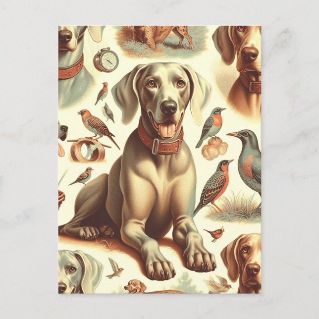 Vintage Weimaraner Seamless Postcard (Front)