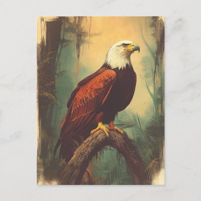 Vintage Weisshead Eagle Postcard (Front)