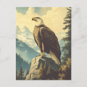 Vintage Weisskopfseeadler Alaska Postkarte Postcard