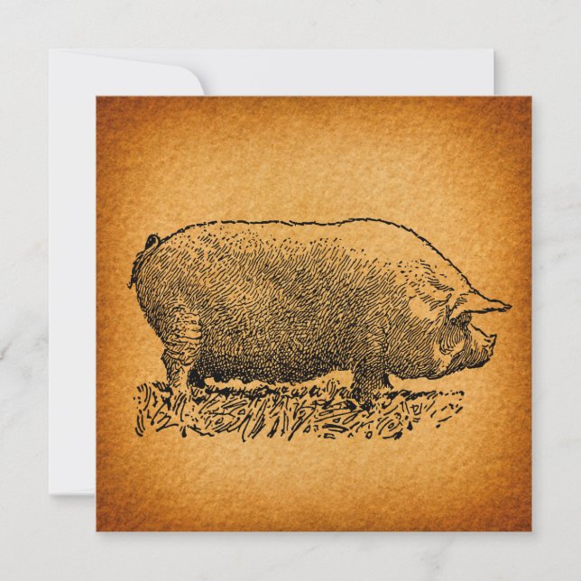 Vintage Western Style Antique Pig Art Illustration Invitation (Front)