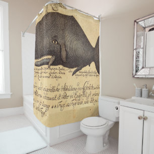 vintage whale on parchment shower curtain