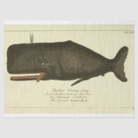 Vintage Whale Script Ephemera Decoupage Nautical