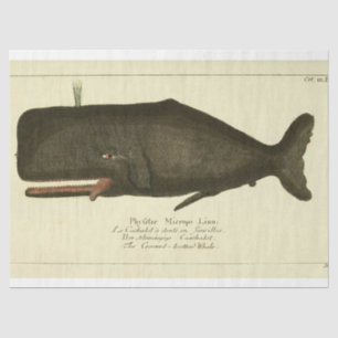 Vintage Whale Script Ephemera Decoupage Nautical Tissue Paper
