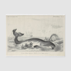 Vintage Whale Ship Ephemera Decoupage Nautical Tissue Paper