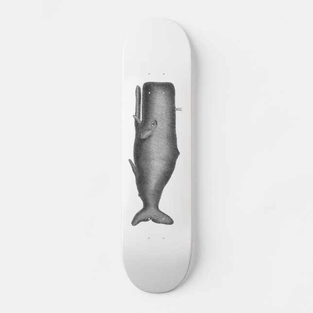 Vintage Whale Skateboard (Front)