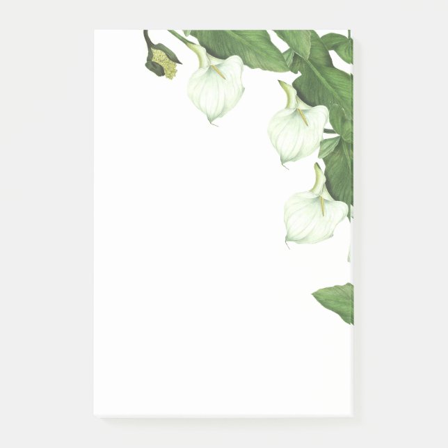 Vintage White Calla Lily Flowers Notes (Front)