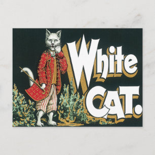 Vintage White Cat Cigar Label Art Postcard