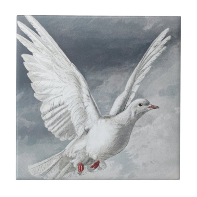 Vintage White Dove Ceramic Tile (Front)
