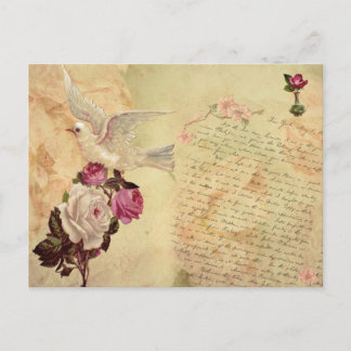 Vintage White Dove Shabby Chic Postcard