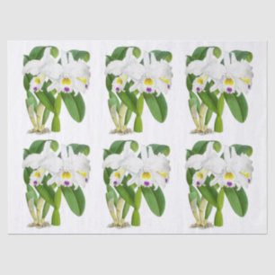 Vintage White Exotic Orchid Flower Decoupage Tissue Paper