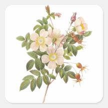 Vintage White Floral Sticker