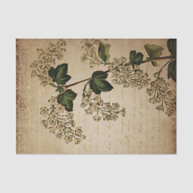 Vintage White Flowers Botanical Tissue Paper (Front)