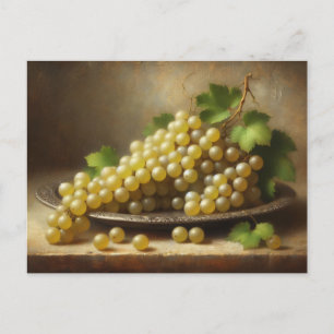 Vintage White Grapes Still Life Postcard