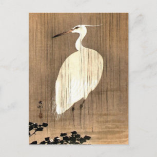 Vintage White Heron in the Rain Postcard