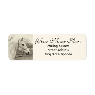 Vintage White Horse Return Address Return Address Label