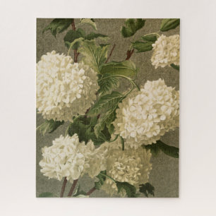 Vintage White Hydrangeas Jigsaw Puzzle