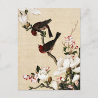 Vintage White Magnolia and Birds Art Print