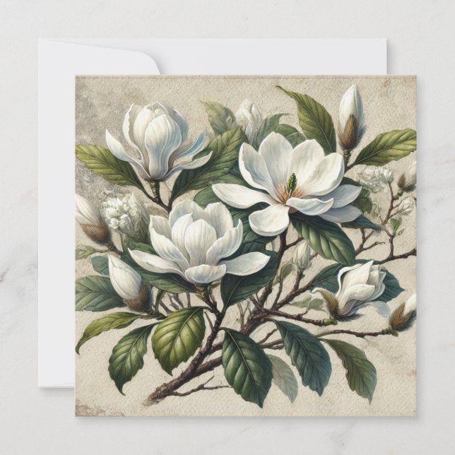 Vintage White Magnolia Botanical  (Front)