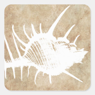Vintage White Ocean Seahell Beach Square Sticker