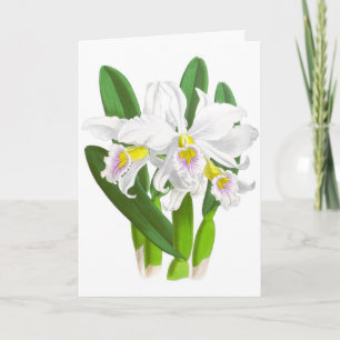 Vintage White Orchid Flower Blank Note Card