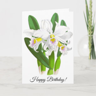 Vintage White Orchid Flower Personalised Card