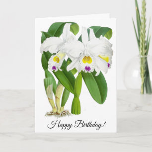 Vintage White Orchid Flower Personalised Card