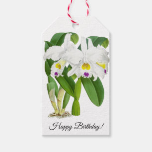 Vintage White Orchid Flower Personalised Gift Tags