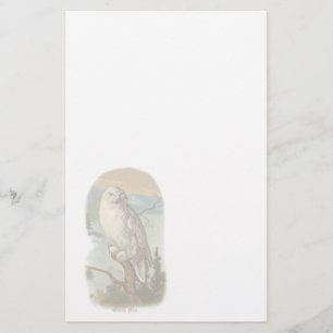Vintage White Owl Stationery