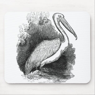 Vintage White Pelican Art Print Pen and Ink Mouse Pad