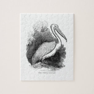 Vintage White Pelican Jigsaw Puzzle