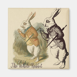Vintage White Rabbit Illustration Magnet