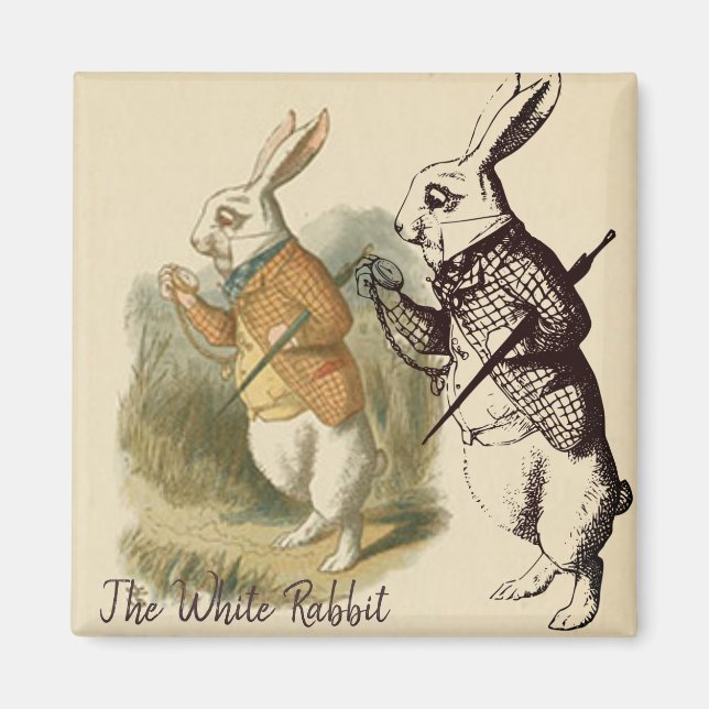 Vintage White Rabbit Illustration Magnet (Front)