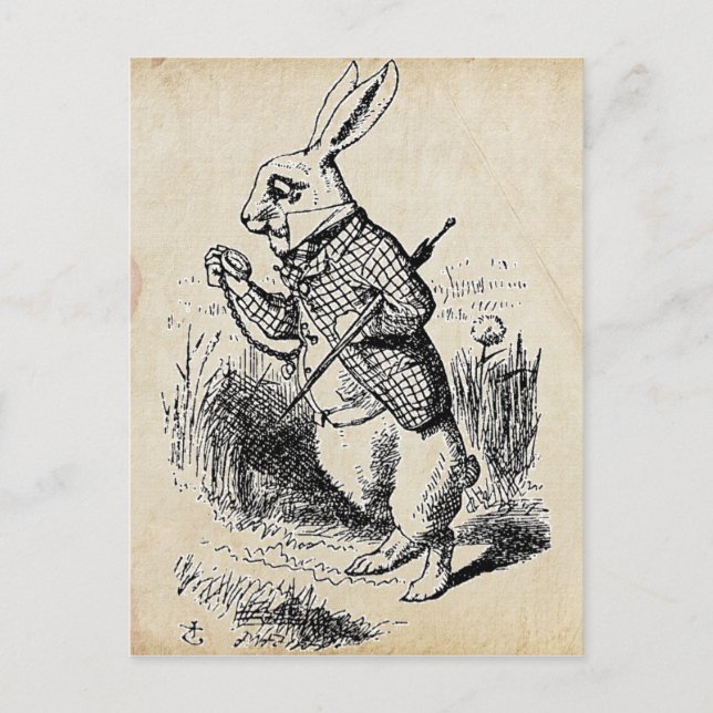 Vintage White Rabbit Postcard (Front)